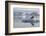 Norway, Svalbard. Bearded Seal Resting on Ice-Jaynes Gallery-Framed Photographic Print