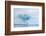 Norway. Svalbard. Brasvelbreen. Turquoise Ice Bergs in the Calm Water-Inger Hogstrom-Framed Photographic Print