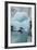 Norway. Svalbard. Brepollen. Black-Legged Kittiwake on an Iceberg-Inger Hogstrom-Framed Photographic Print