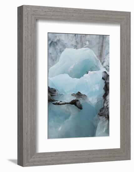 Norway. Svalbard. Brepollen. Black-Legged Kittiwake on an Iceberg-Inger Hogstrom-Framed Photographic Print