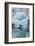 Norway. Svalbard. Brepollen. Black-Legged Kittiwake on an Iceberg-Inger Hogstrom-Framed Photographic Print