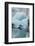 Norway. Svalbard. Brepollen. Black-Legged Kittiwake on an Iceberg-Inger Hogstrom-Framed Photographic Print