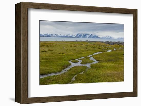 Norway. Svalbard. Camp Millar. Streams of Water Flow over the Moss-Inger Hogstrom-Framed Photographic Print