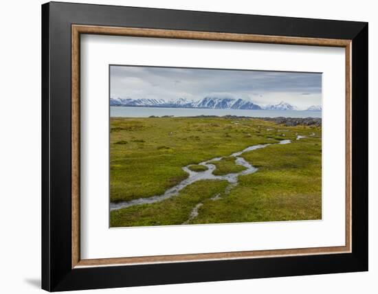 Norway. Svalbard. Camp Millar. Streams of Water Flow over the Moss-Inger Hogstrom-Framed Photographic Print