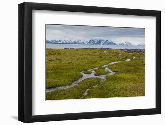 Norway. Svalbard. Camp Millar. Streams of Water Flow over the Moss-Inger Hogstrom-Framed Photographic Print