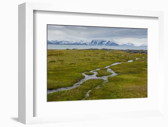 Norway. Svalbard. Camp Millar. Streams of Water Flow over the Moss-Inger Hogstrom-Framed Photographic Print