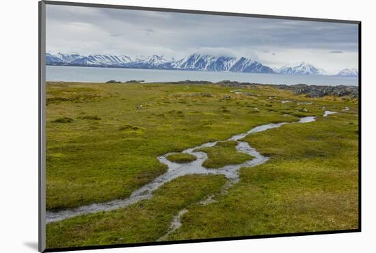 Norway. Svalbard. Camp Millar. Streams of Water Flow over the Moss-Inger Hogstrom-Mounted Photographic Print