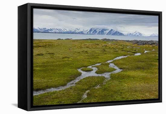 Norway. Svalbard. Camp Millar. Streams of Water Flow over the Moss-Inger Hogstrom-Framed Premier Image Canvas