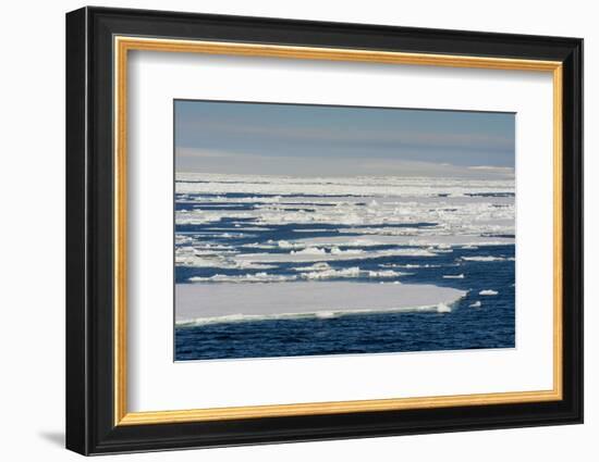 Norway. Svalbard. Hinlopen Strait. Drift Ice Extending to the Horizon-Inger Hogstrom-Framed Photographic Print