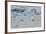 Norway. Svalbard. Hinlopen Strait. Polar Bear Walking on the Drift Ice-Inger Hogstrom-Framed Photographic Print