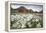 Norway, Svalbard, Longyearbyen. Arctic Cottongrass in Front of Traditional Houses-David Slater-Framed Premier Image Canvas