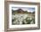 Norway, Svalbard, Longyearbyen. Arctic Cottongrass in Front of Traditional Houses-David Slater-Framed Photographic Print