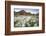 Norway, Svalbard, Longyearbyen. Arctic Cottongrass in Front of Traditional Houses-David Slater-Framed Photographic Print