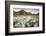 Norway, Svalbard, Longyearbyen. Arctic Cottongrass in Front of Traditional Houses-David Slater-Framed Photographic Print