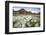 Norway, Svalbard, Longyearbyen. Arctic Cottongrass in Front of Traditional Houses-David Slater-Framed Photographic Print