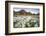 Norway, Svalbard, Longyearbyen. Arctic Cottongrass in Front of Traditional Houses-David Slater-Framed Photographic Print