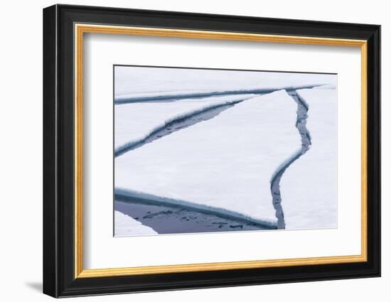 Norway, Svalbard, Pack Ice, Broken Pack Ice-Ellen Goff-Framed Photographic Print