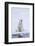 Norway, Svalbard, Pack Ice, Female Polar Bear-Ellen Goff-Framed Photographic Print