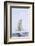 Norway, Svalbard, Pack Ice, Female Polar Bear-Ellen Goff-Framed Photographic Print