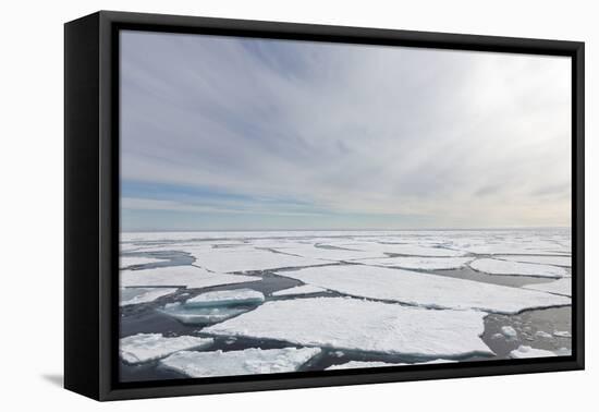 Norway, Svalbard, Pack Ice, Pack Ice-Ellen Goff-Framed Premier Image Canvas