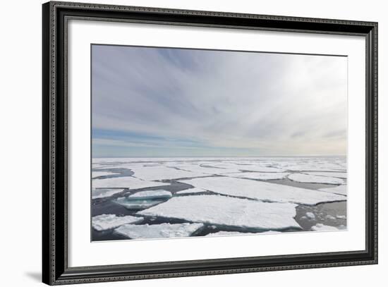 Norway, Svalbard, Pack Ice, Pack Ice-Ellen Goff-Framed Photographic Print