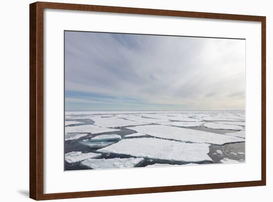 Norway, Svalbard, Pack Ice, Pack Ice-Ellen Goff-Framed Photographic Print