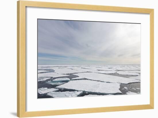 Norway, Svalbard, Pack Ice, Pack Ice-Ellen Goff-Framed Photographic Print