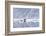 Norway, Svalbard, Pack Ice, Walrus on Ice Floes-Ellen Goff-Framed Photographic Print