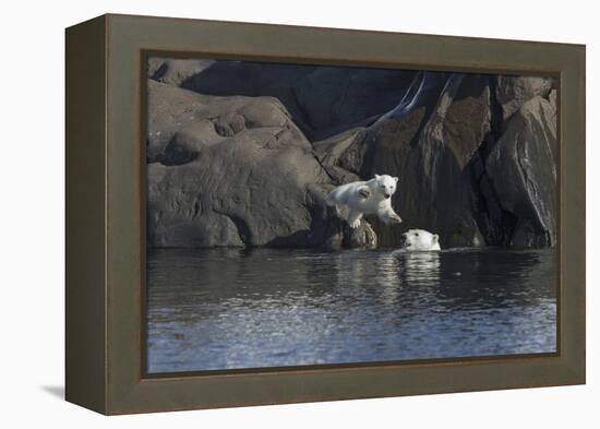 Norway, Svalbard, Polar Bear and Cub Coming Off Rocks to the Ocean-Ellen Goff-Framed Premier Image Canvas