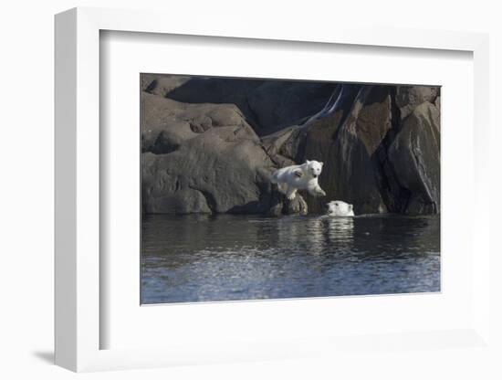Norway, Svalbard, Polar Bear and Cub Coming Off Rocks to the Ocean-Ellen Goff-Framed Photographic Print