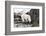 Norway, Svalbard, Polar Bear Walking Along the Coast-Ellen Goff-Framed Photographic Print