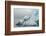 Norway. Svalbard. Spitsbergen. Brepollen. Iceberg with Moraine Dust-Inger Hogstrom-Framed Photographic Print