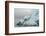 Norway. Svalbard. Spitsbergen. Brepollen. Iceberg with Moraine Dust-Inger Hogstrom-Framed Photographic Print