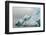 Norway. Svalbard. Spitsbergen. Brepollen. Iceberg with Moraine Dust-Inger Hogstrom-Framed Photographic Print