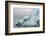 Norway. Svalbard. Spitsbergen. Brepollen. Iceberg with Moraine Dust-Inger Hogstrom-Framed Photographic Print