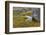 Norway, Svalbard, Spitsbergen Fuglesongen. Moss and Rocks Along a Stream-Ellen Goff-Framed Photographic Print