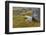 Norway, Svalbard, Spitsbergen Fuglesongen. Moss and Rocks Along a Stream-Ellen Goff-Framed Photographic Print