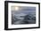 Norway, Svalbard, Spitsbergen. Polar Bear on Sea Ice at Sunset-Jaynes Gallery-Framed Photographic Print