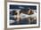 Norway, Svalbard, Spitsbergen. Walrus on Ice-Jaynes Gallery-Framed Photographic Print