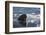 Norway, Svalbard, Spitsbergen. Walrus Surfaces in Water-Jaynes Gallery-Framed Photographic Print