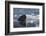 Norway, Svalbard, Spitsbergen. Walrus Surfaces in Water-Jaynes Gallery-Framed Photographic Print