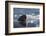 Norway, Svalbard, Spitsbergen. Walrus Surfaces in Water-Jaynes Gallery-Framed Photographic Print