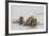 Norway, Svalbard, Walrus in Water-Ellen Goff-Framed Photographic Print