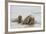 Norway, Svalbard, Walrus in Water-Ellen Goff-Framed Photographic Print