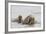 Norway, Svalbard, Walrus in Water-Ellen Goff-Framed Photographic Print