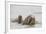 Norway, Svalbard, Walrus in Water-Ellen Goff-Framed Photographic Print