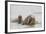 Norway, Svalbard, Walrus in Water-Ellen Goff-Framed Photographic Print