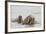 Norway, Svalbard, Walrus in Water-Ellen Goff-Framed Photographic Print