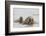 Norway, Svalbard, Walrus in Water-Ellen Goff-Framed Photographic Print