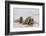 Norway, Svalbard, Walrus in Water-Ellen Goff-Framed Photographic Print